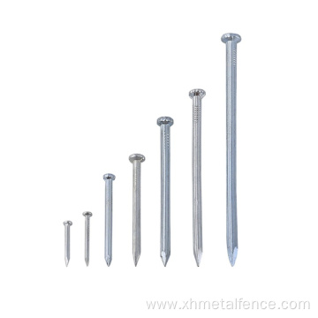 Durable Galvanized Stainless Steel Carbon Concreat Nail